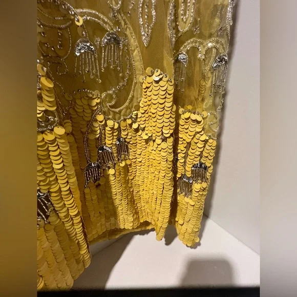 Louis Vuitton sheer sequin dress
